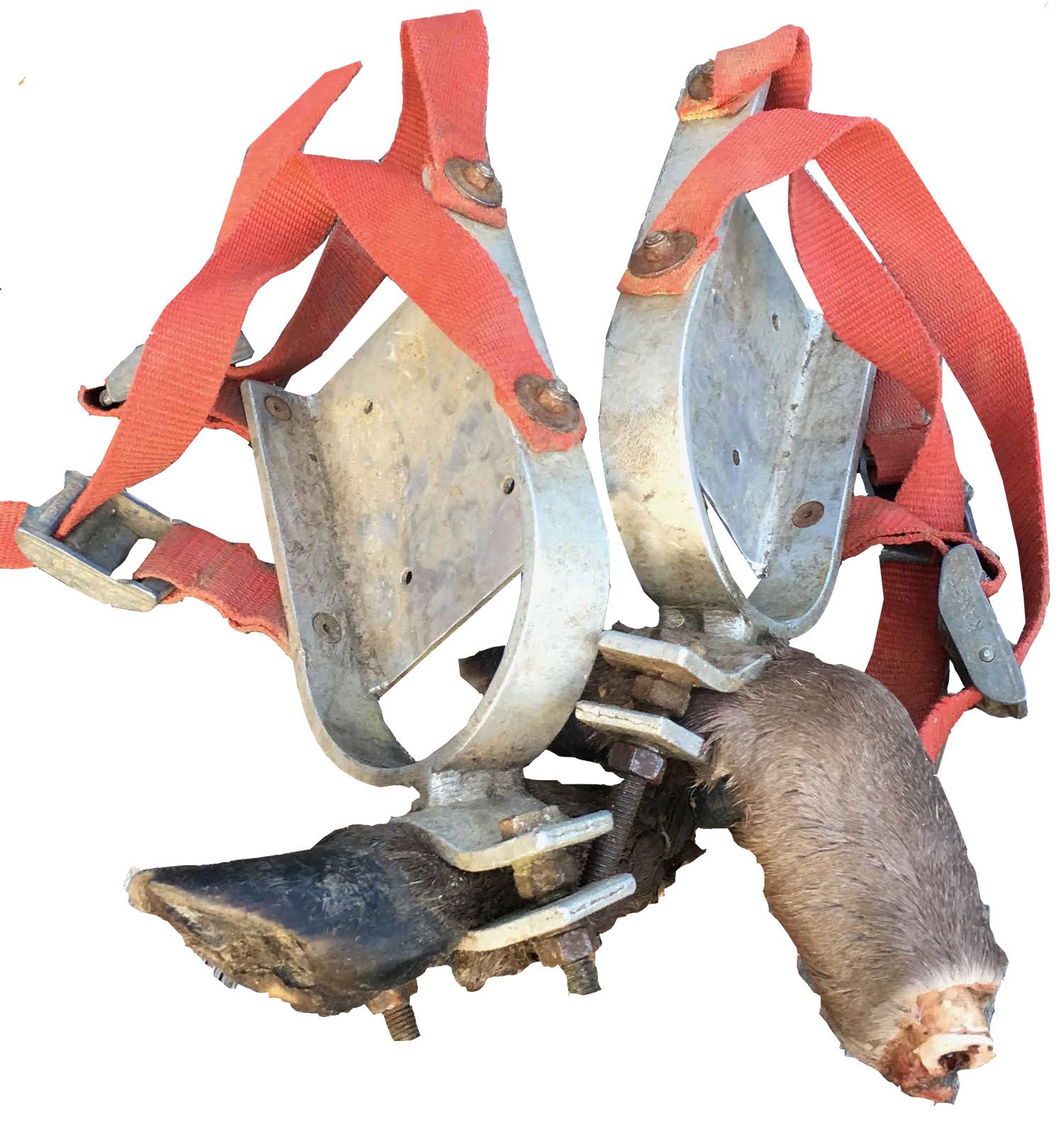 Færtsko fra ProfDog